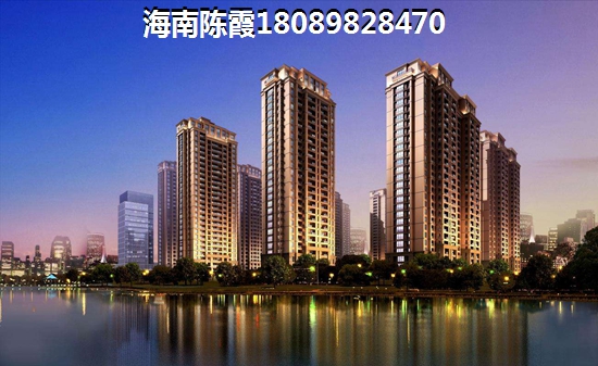 新家装修完买什么花比较好