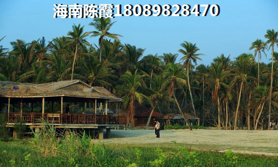 摇滚的小游戏叫什么游戏