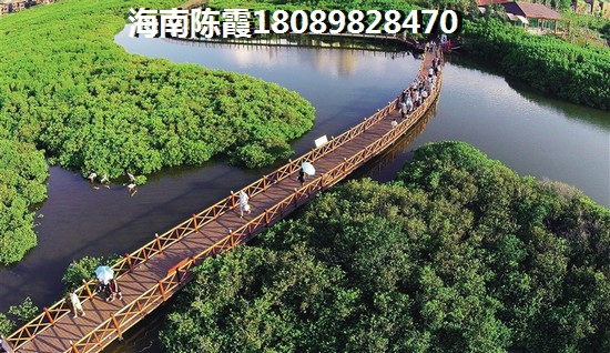 中卫在哪买房比较好