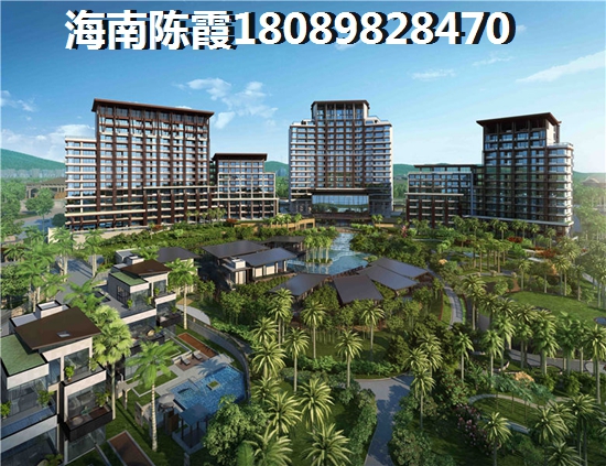 淘淘是啥