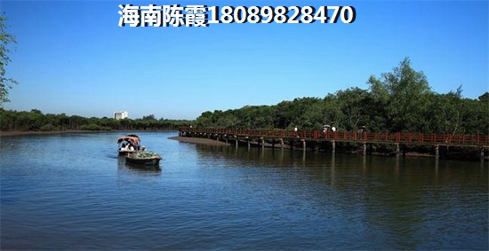 龙年不能用念字起名吗女孩